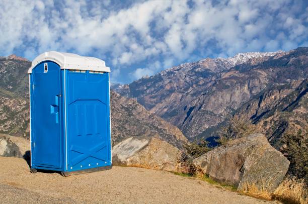 Best Porta potty delivery and setup  in Topaz Ranch Estates, NV